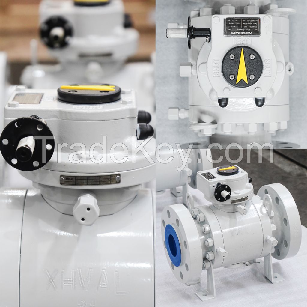 Trunnion Ball Valve