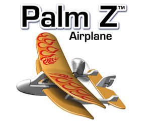 Palm Size Rc Airplane Indoor Toys Flyer