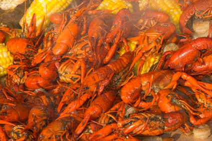 Crawfish