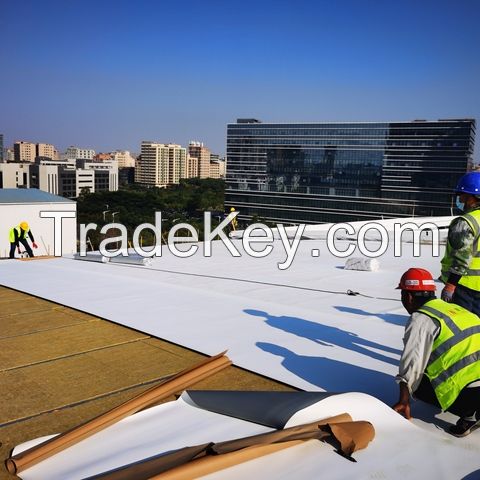 TPO Waterproof Membrane