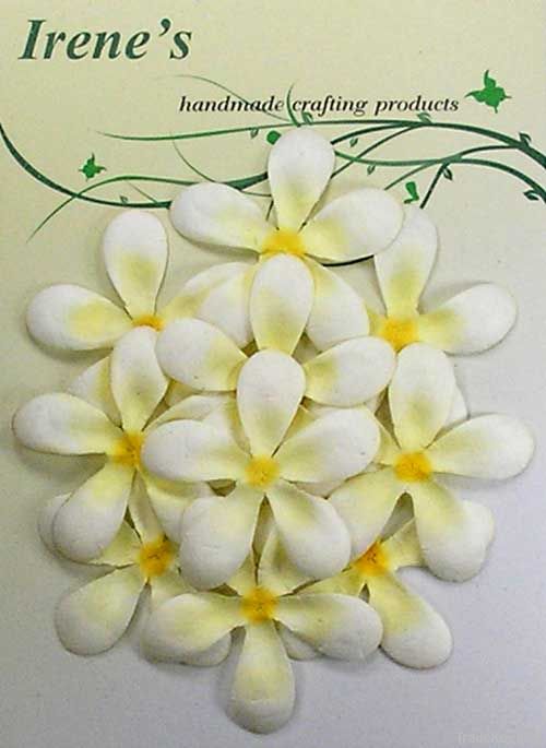 Frangipani Pack (10)