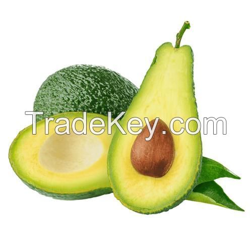 AVOCADO ALL TYPES