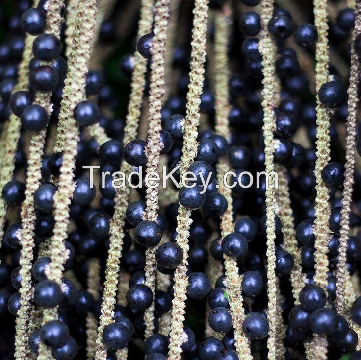 ACAI FRUIT