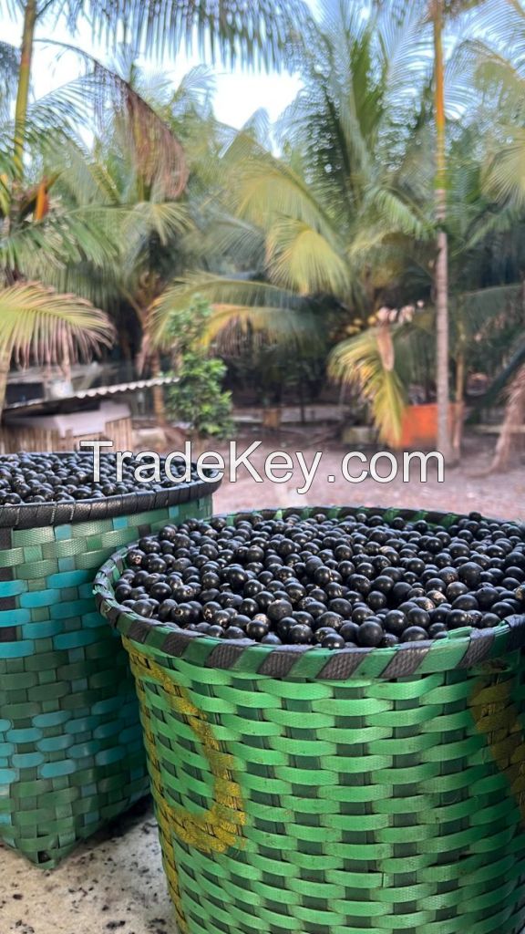 ACAI FRUIT