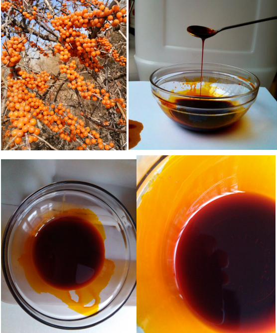 seabuckthorn fruit oil