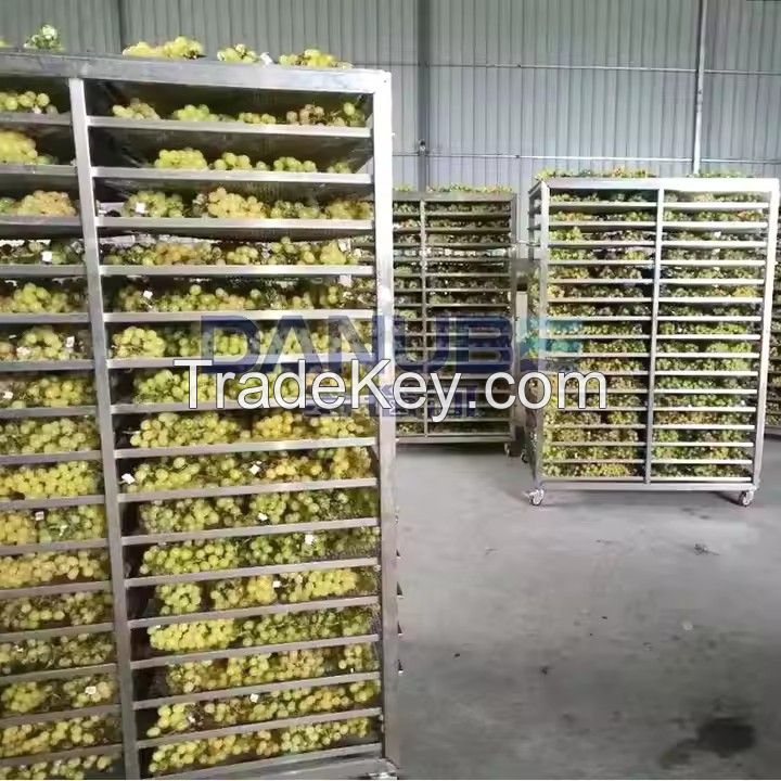 Energy Saving Grape Dryer Heat Pump Drying Machine Fruit Mango Blueberry Apple Slice Tomato Drying Equipment