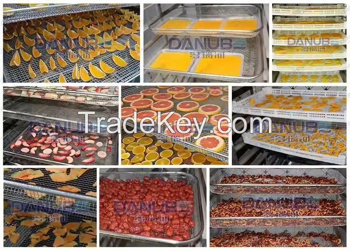 Energy Saving Grape Dryer Heat Pump Drying Machine Fruit Mango Blueberry Apple Slice Tomato Drying Equipment