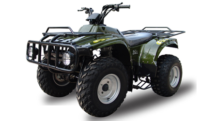 250cc ATV(110cc,150cc,200cc,50cc,90cc)
