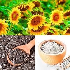 Sunflower meal