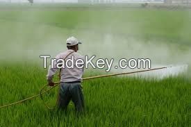 Pesticides
