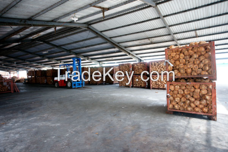 Dried Coconut, full husked coconut