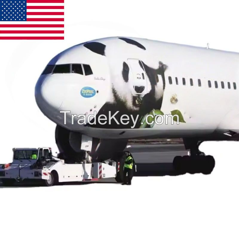 Agent Cheapest Door-to-door Freight China to USA UPS DAP Federal Express Logistics Service LCL air Freight Forwarding Service