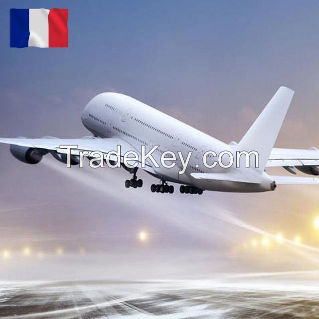 Logistics Agency Fedex Service Affordable air Freight Agency Service From China to USA Professional LCL Freight UPS DAP DHL