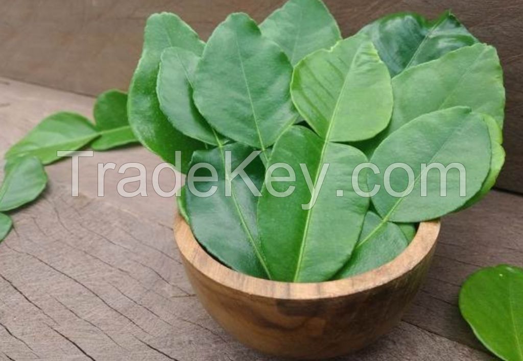 kaffir lime leaves