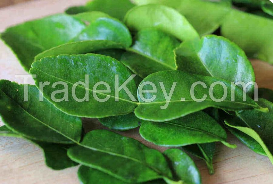 kaffir lime leaves