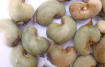 Cheap Cashew Nut | Wholesale Cashew Nut | Discounted Cashew Nut | Bulk Cashew Nut | Cashew Nut Suppliers | Cashew Nut Exporters | Cashew Nut Manufacturers | Cashew Nut Buyer | Import Cashew Nut | Cashew Nut Importers | Cashew Nut Buyers