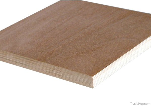 Poplar core plywood