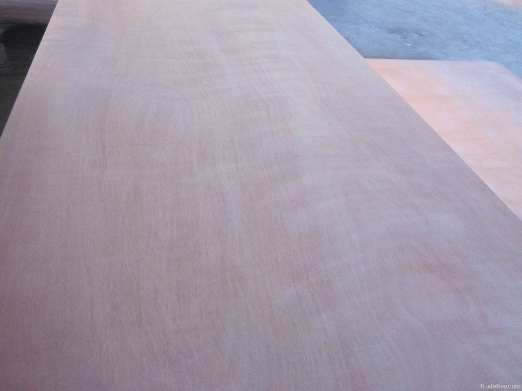 Poplar core plywood