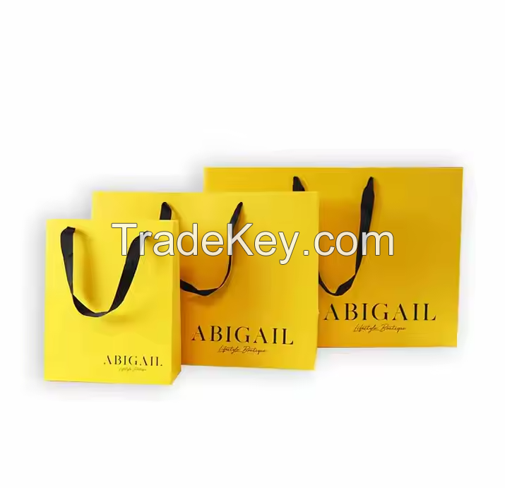 Custom CMYK Printing Horizontal White Paper Gift Bag with Ribbon for Skin Care Underwear Clothing Shopping