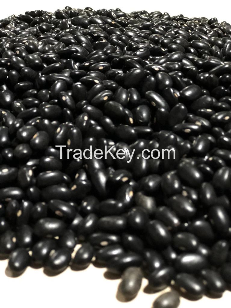 Black Beans