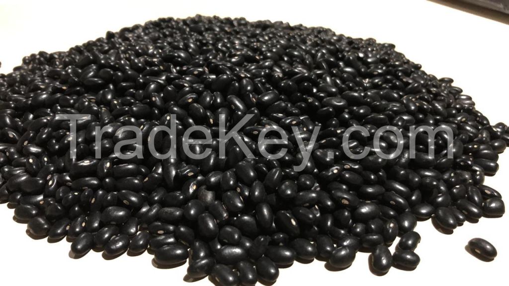 Black Beans