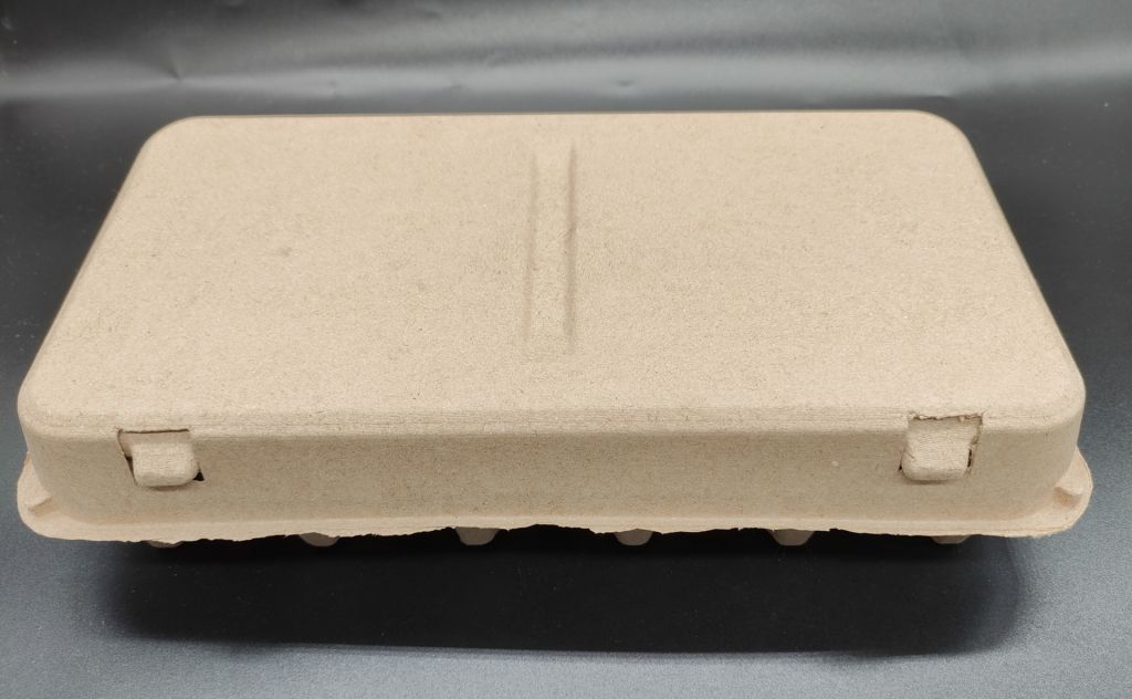 PTPACK Natural Pulp Egg Cartons 18 Paper Cardboard Eggs Flat Compostable  Empty Egg Carton