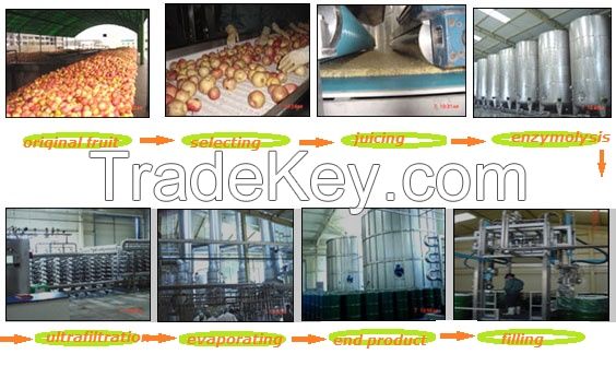 Juice Ultrafiltration Plant SGCG-192