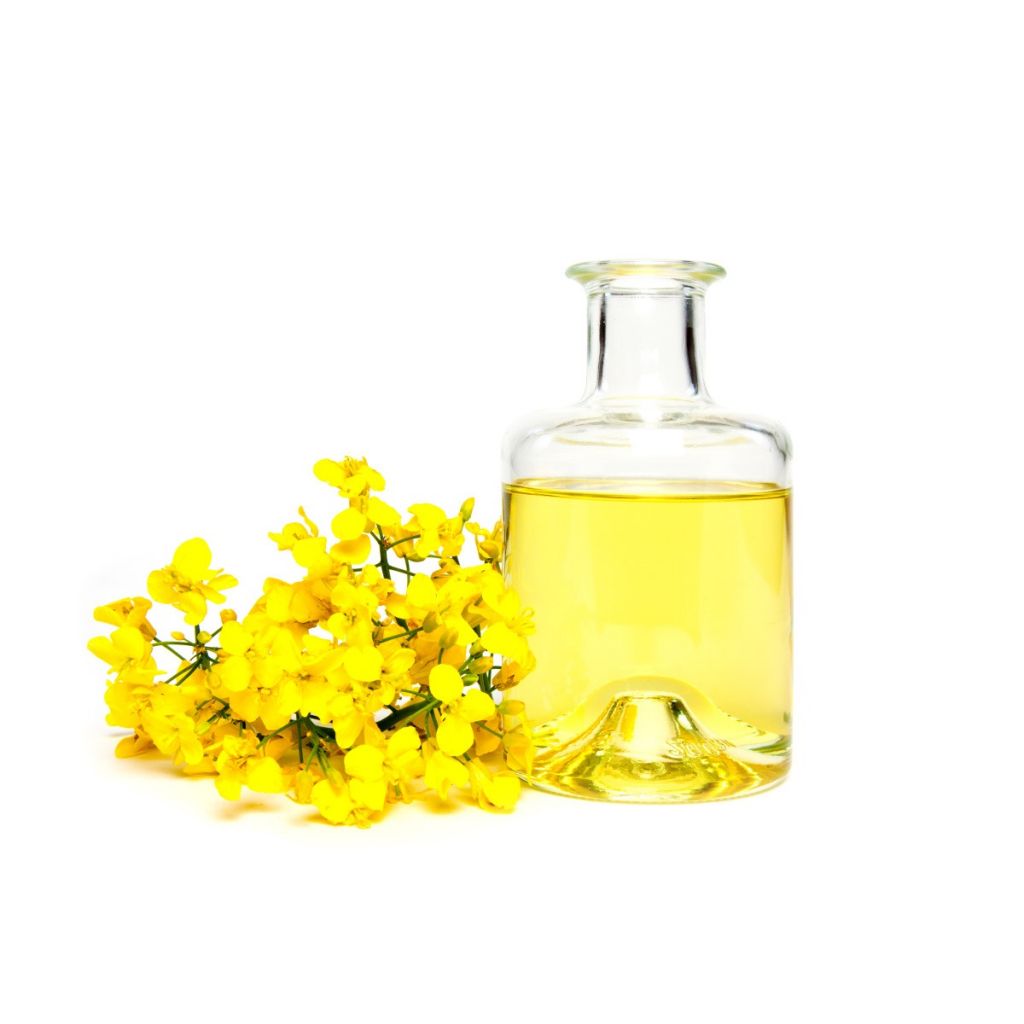 100% Pure RBD Canola Oil Ã¢ï¿½ï¿½ Refined Edible Grade |Bulk Supply at Competitive Wholesale Price