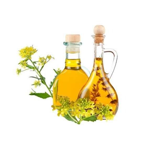 100% Pure RBD Canola Oil Ã¢ï¿½ï¿½ Refined Edible Grade |Bulk Supply at Competitive Wholesale Price