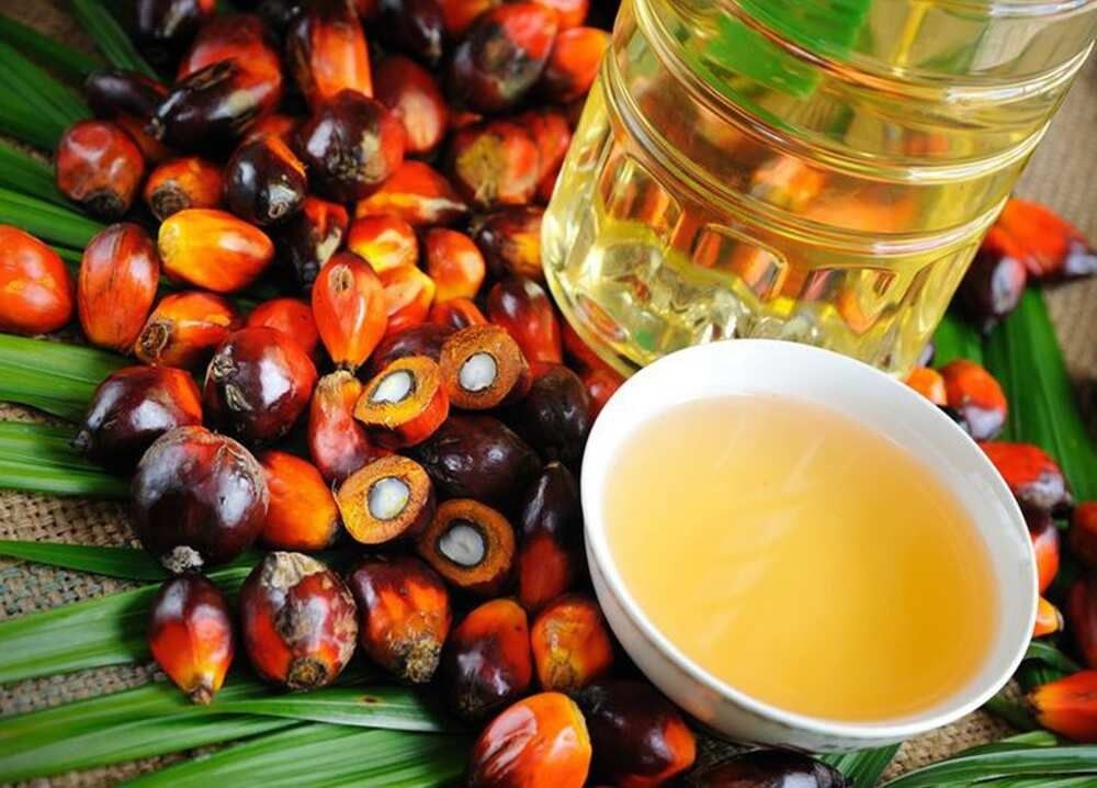 Fractionated Palm Oil Ã¢ï¿½ï¿½ RBD Palm Olein & Stearin | Food & Industrial Grade | Bulk Export