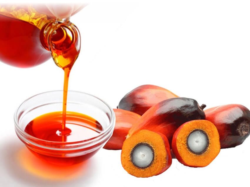 Fractionated Palm Oil Ã¢ï¿½ï¿½ RBD Palm Olein & Stearin | Food & Industrial Grade | Bulk Export