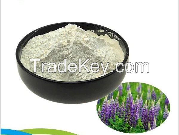 Bulk Lupin Protein Powder - High Protein Plant-Based Ingredient for Food & Supplements