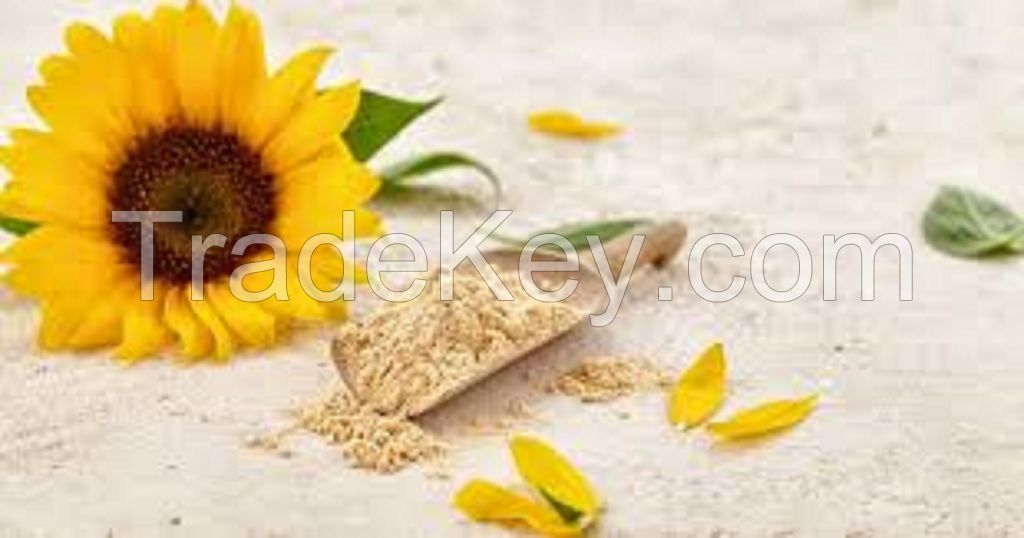 Premium Sunflower Protein Powder Ã¢ï¿½ï¿½ Non-GMO, High Purity