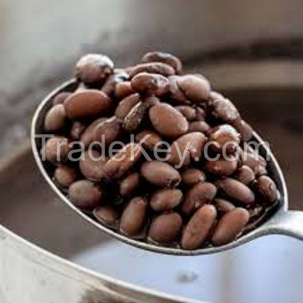 Grade A Black Beans for Human Consumption Ã¢ï¿½ï¿½ Bulk & OEM Packaging