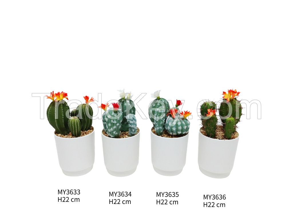 Artificial Cactus