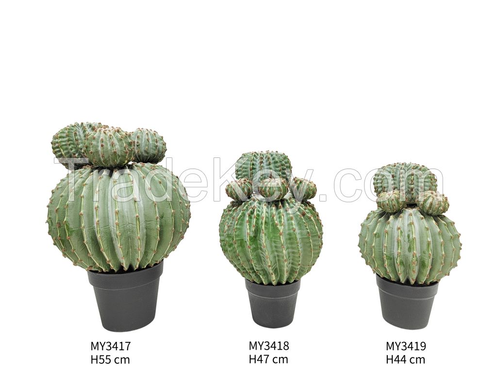 Artificial Cactus