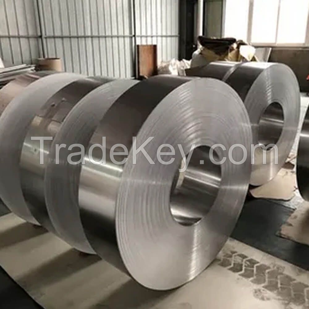 Stainless Steel Strips