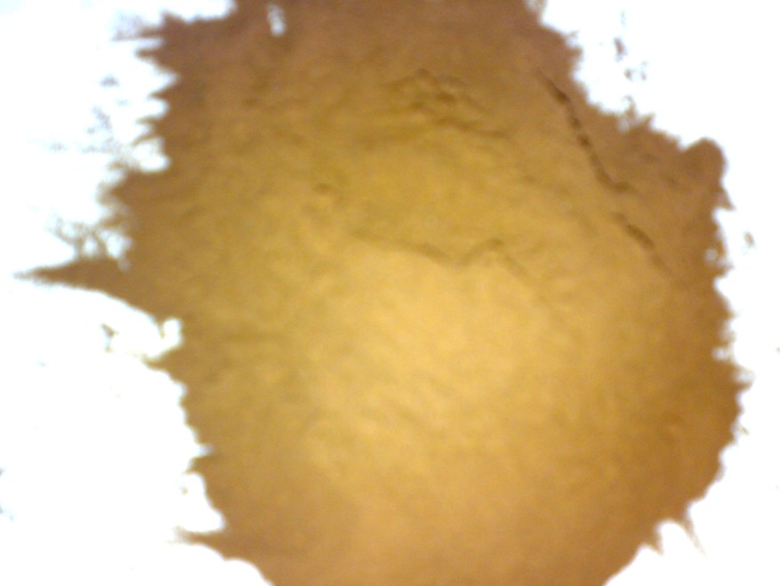 propolis powder