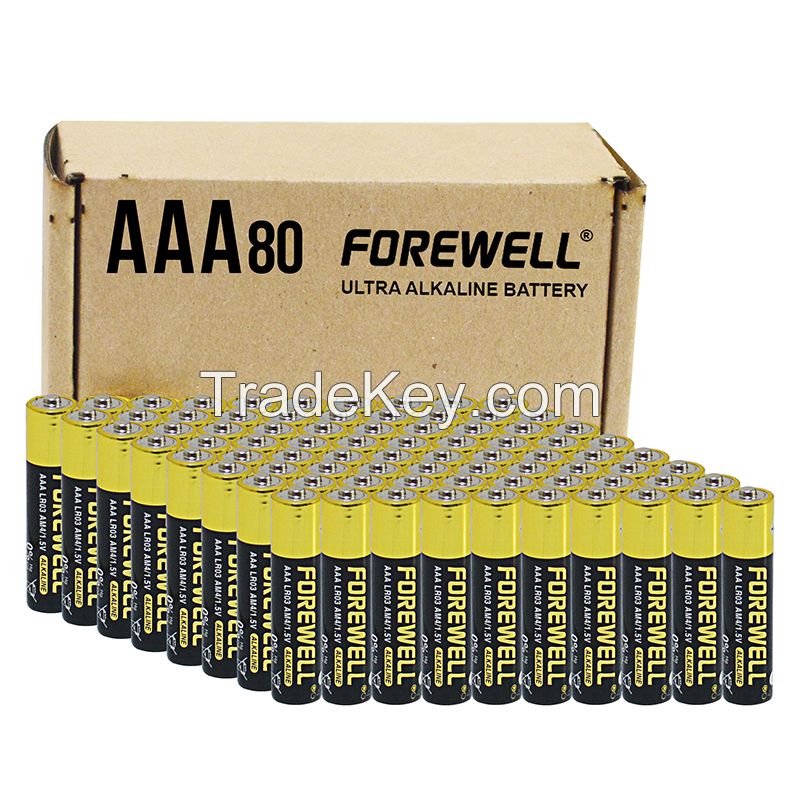 FOREWELL1.5 V Alkaline Battery  AAA High Capacity Remote Control Battery Toys Battery