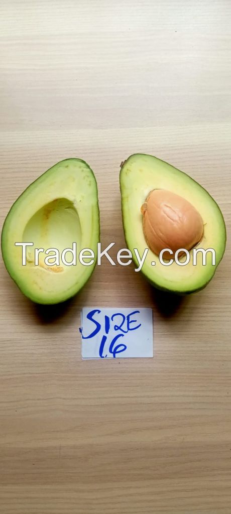Avocados