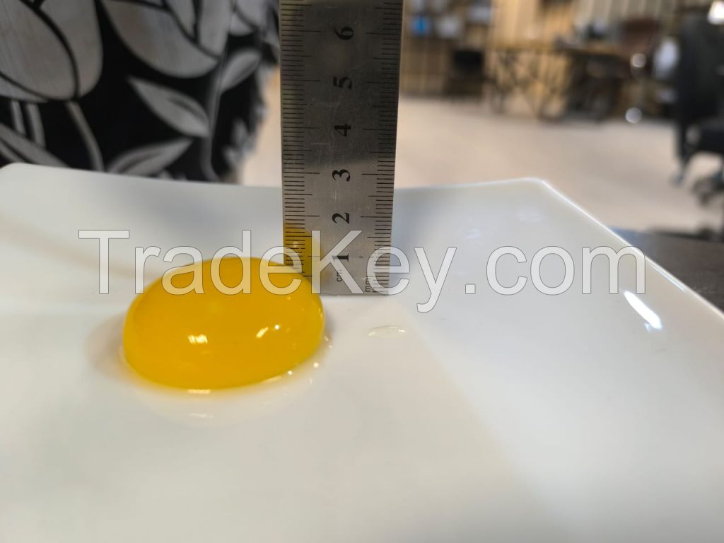 Fresh eggs