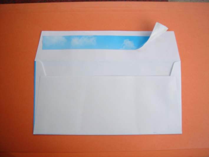 Envelope with Peal-N-Seal