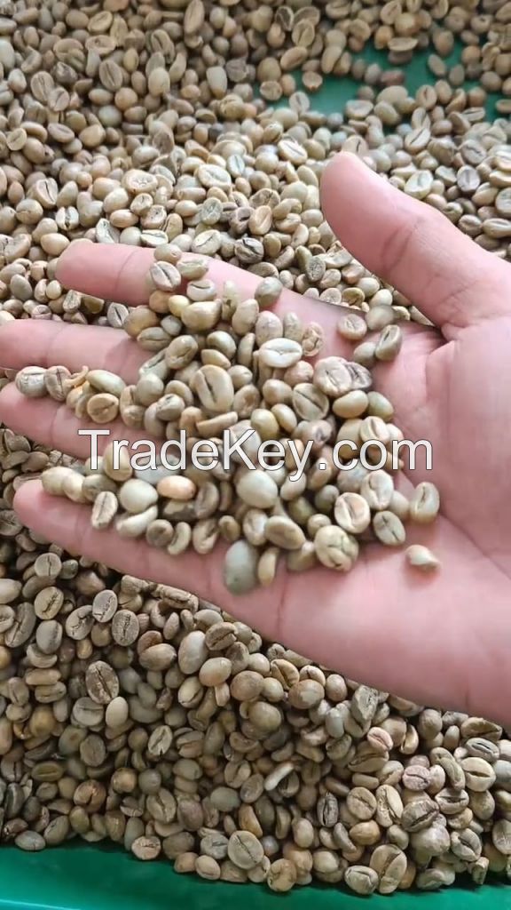 GREEN COFFEE BEANS SUMATRA INDONESIA