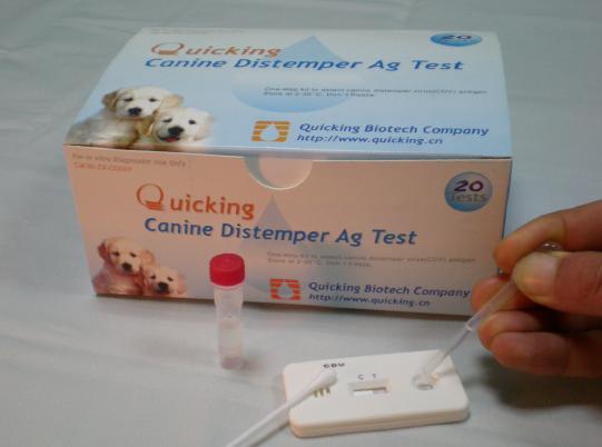 Canine Distemper Virus Test