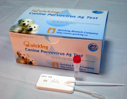 Canine Parvovirus Test