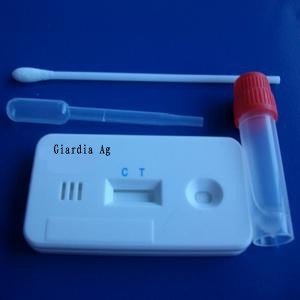 Giardia Ag Rapid Test