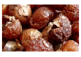 Soap Nuts