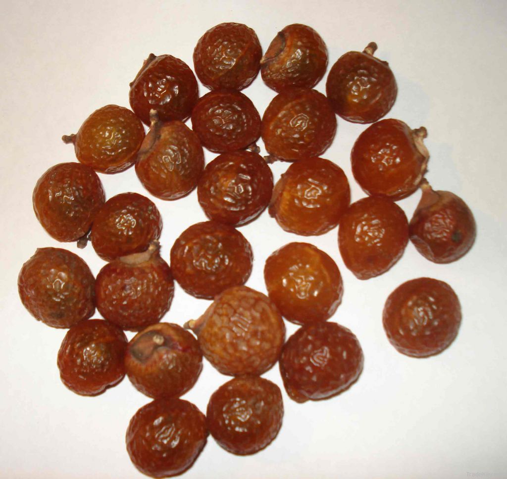 Wholesale Organic Soap Nuts