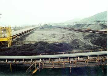 Coal Supplier