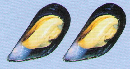 Mussels (with or w/o shell) $1.05/lb up